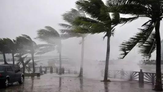 8月臺風雨即將來，除濕機還得用起來