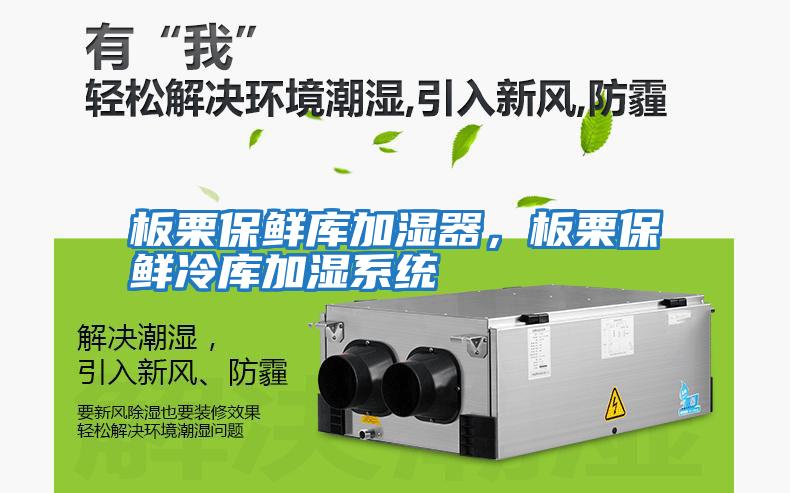 板栗保鮮庫加濕器，板栗保鮮冷庫加濕系統