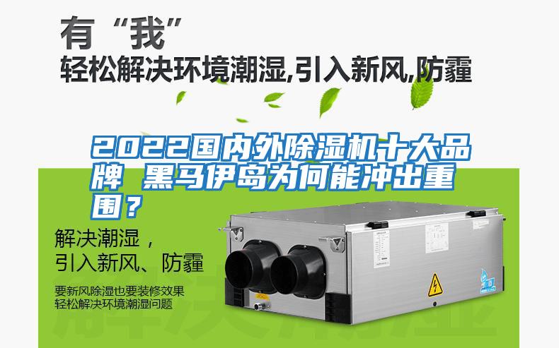2022國(guó)內(nèi)外除濕機(jī)十大品牌 黑馬伊島為何能沖出重圍？