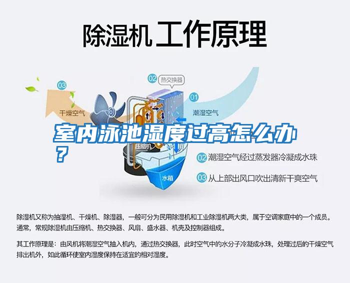 室內泳池濕度過高怎么辦？