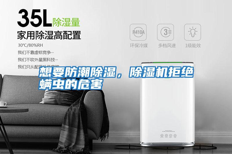 想要防潮除濕，除濕機拒絕螨蟲的危害