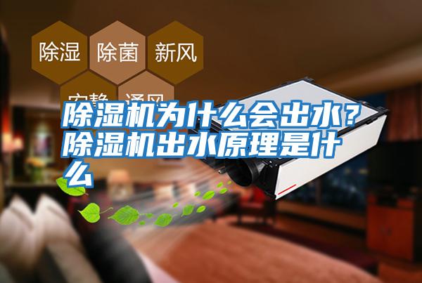 除濕機為什么會出水？除濕機出水原理是什么