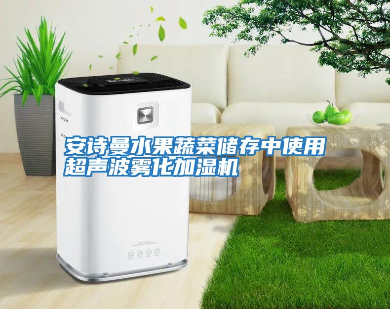 安詩(shī)曼水果蔬菜儲(chǔ)存中使用超聲波霧化加濕機(jī)