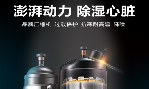 采菊東籬下，悠然見南山，金絲皇菊花的加工生產提高產能，升溫型烘干工業除濕機