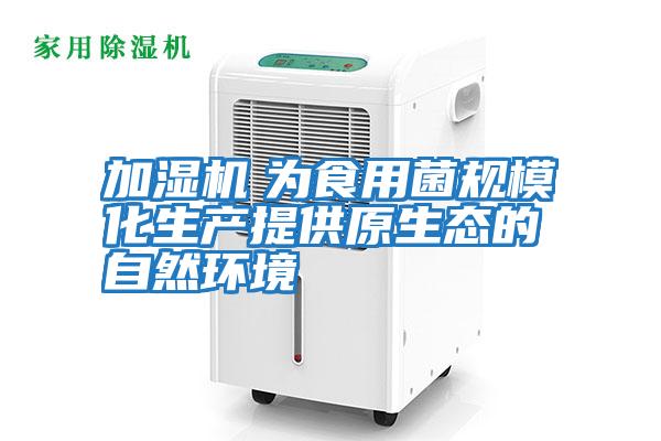 加濕機　為食用菌規?；a提供原生態的自然環境
