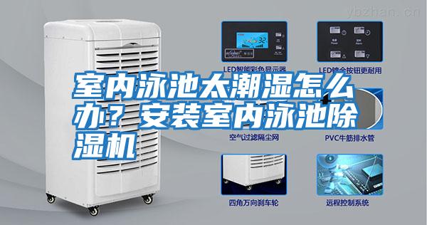 室內泳池太潮濕怎么辦？安裝室內泳池除濕機