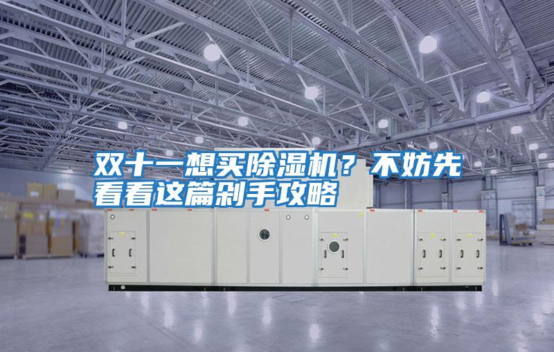 雙十一想買除濕機(jī)？不妨先看看這篇剁手攻略