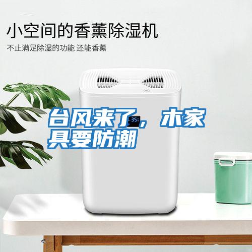 臺風來了，木家具要防潮