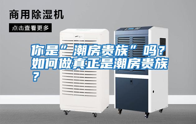 你是”潮房貴族”嗎？如何做真正是潮房貴族？
