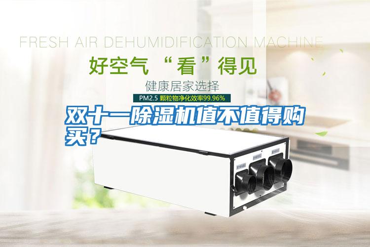 雙十一除濕機(jī)值不值得購(gòu)買？