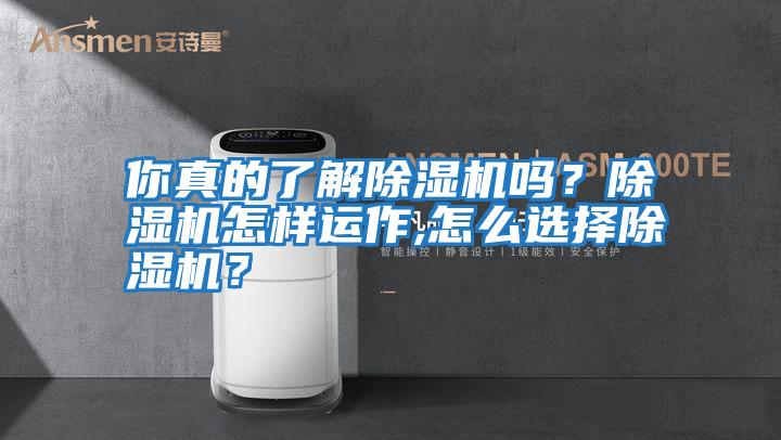 你真的了解除濕機嗎？除濕機怎樣運作,怎么選擇除濕機？