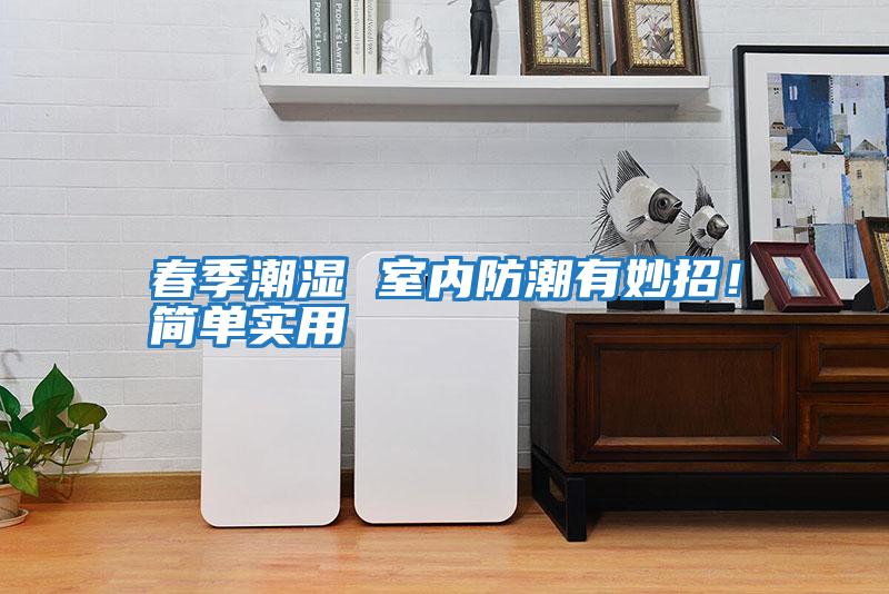 春季潮濕 室內(nèi)防潮有妙招！簡(jiǎn)單實(shí)用