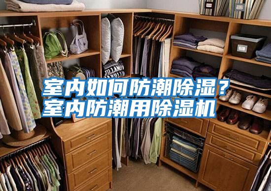 室內如何防潮除濕？室內防潮用除濕機