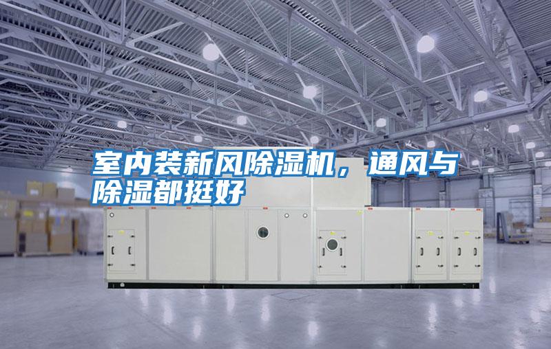 室內裝新風除濕機，通風與除濕都挺好