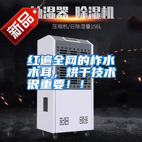 紅遍全網的柞水木耳，烘干技術很重要??！