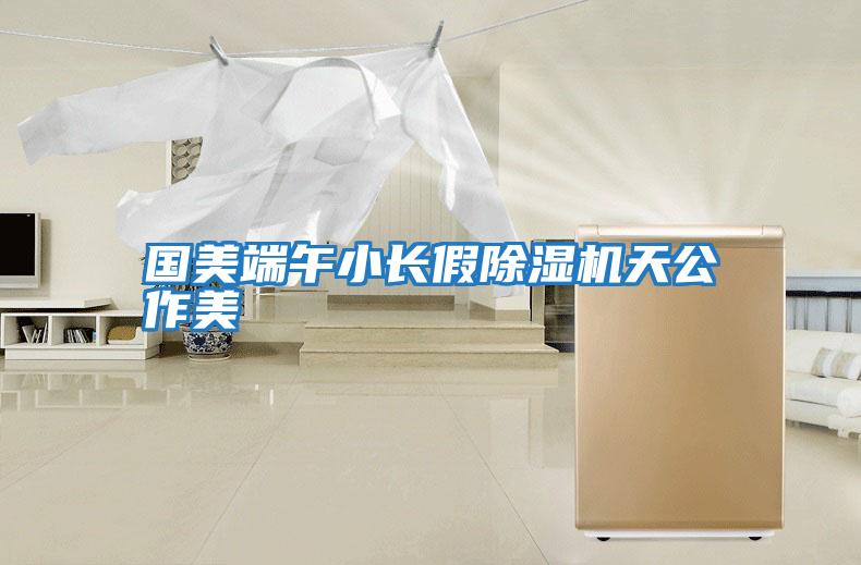 國美端午小長(zhǎng)假除濕機(jī)天公作美