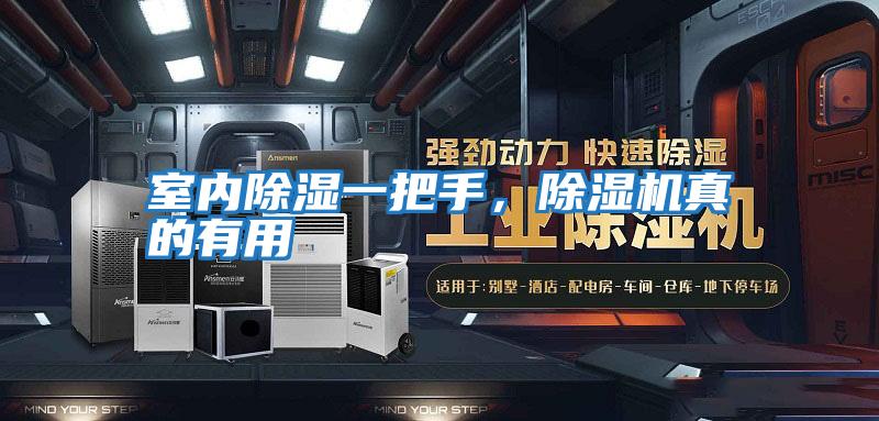 室內除濕一把手，除濕機真的有用