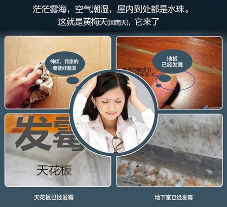 梅雨季將至，除濕機了解一下！