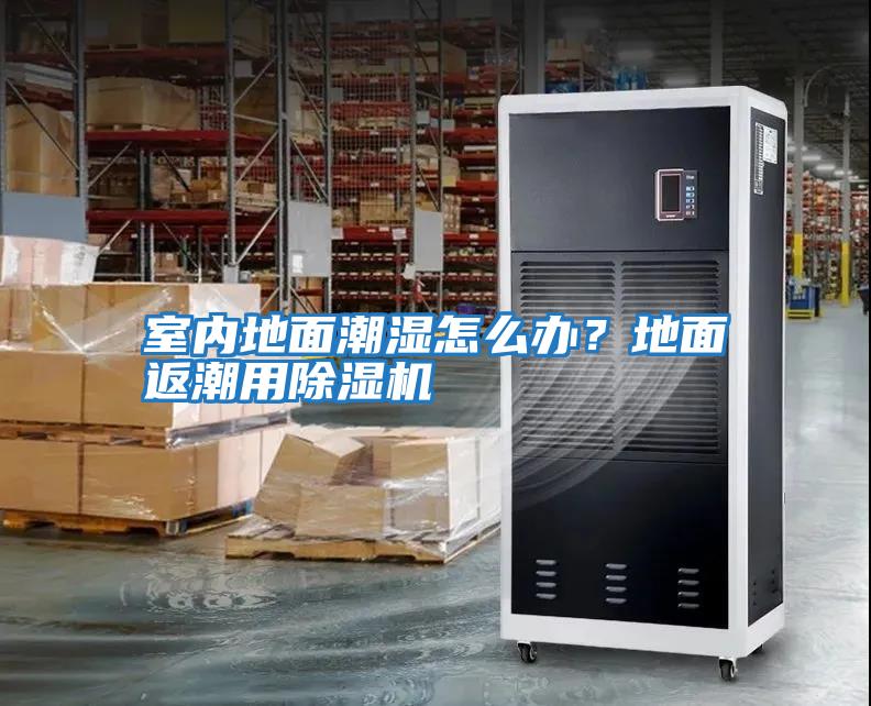 室內地面潮濕怎么辦？地面返潮用除濕機