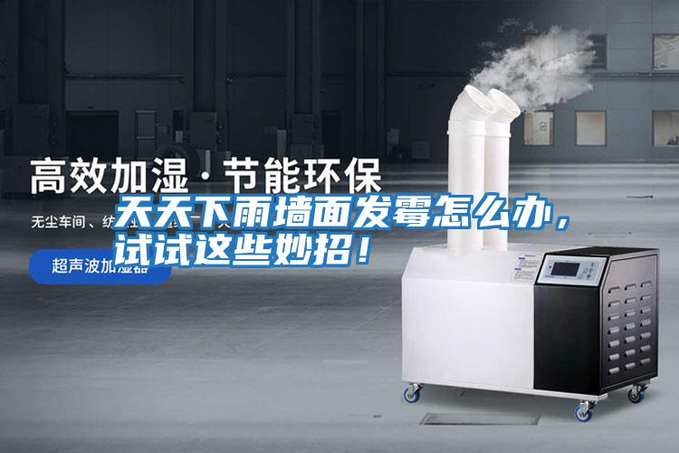 天天下雨墻面發霉怎么辦，試試這些妙招！