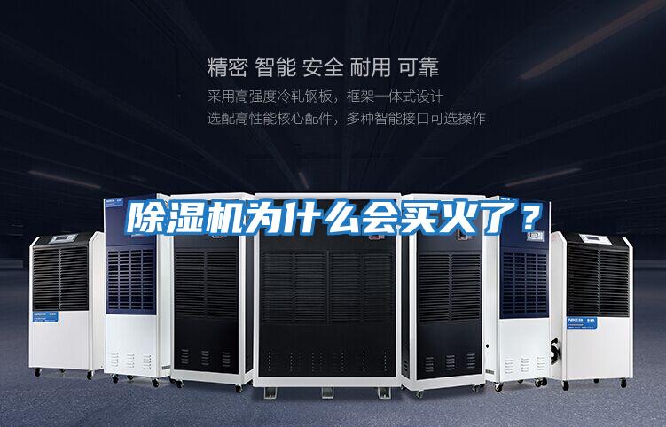 除濕機為什么會買火了？