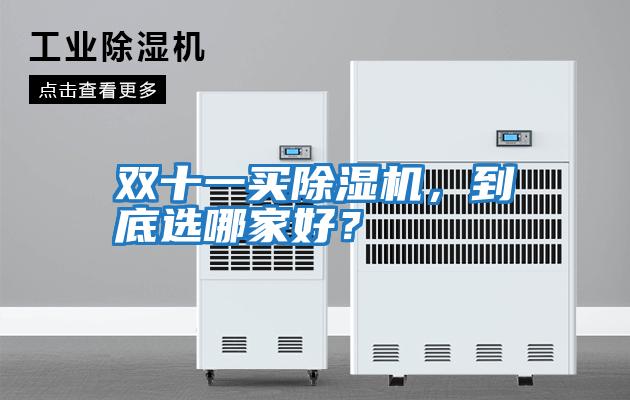 雙十一買除濕機(jī)，到底選哪家好？