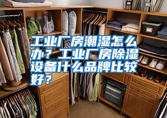 工業廠房潮濕怎么辦？工業廠房除濕設備什么品牌比較好？