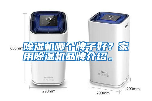 除濕機哪個牌子好？家用除濕機品牌介紹。