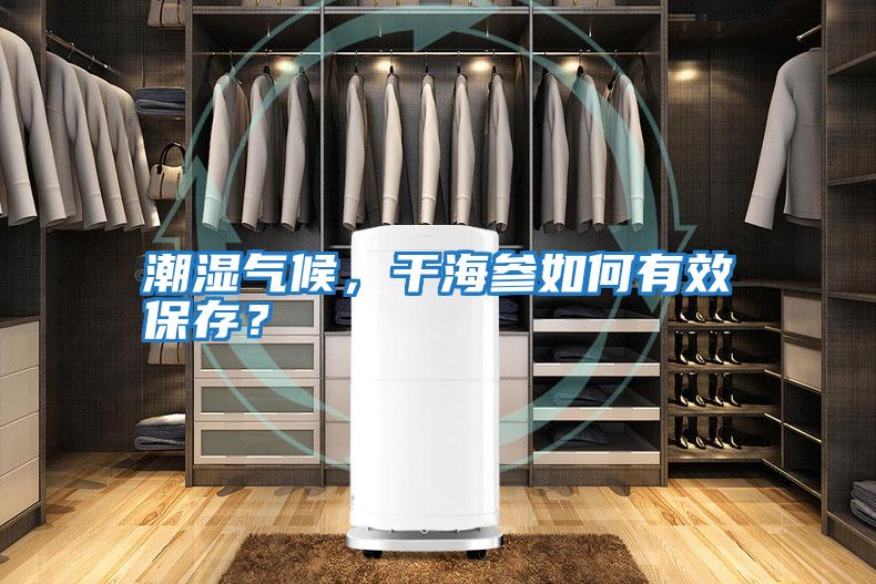 潮濕氣候，干海參如何有效保存？