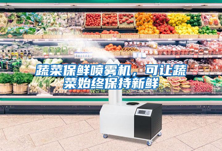 蔬菜保鮮噴霧機，可讓蔬菜始終保持新鮮