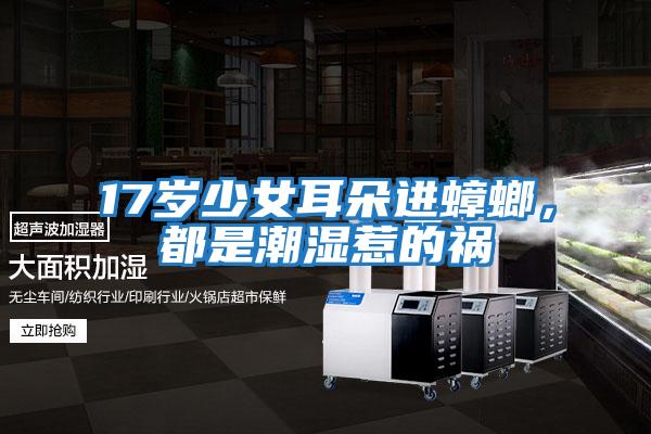17歲少女耳朵進(jìn)蟑螂，都是潮濕惹的禍