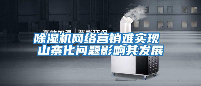 除濕機網絡營銷難實現 山寨化問題影響其發(fā)展