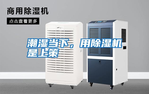 潮濕當(dāng)下，用除濕機(jī)是上策