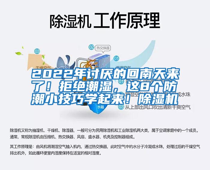 2022年討厭的回南天來了！拒絕潮濕，這8個防潮小技巧學起來！除濕機