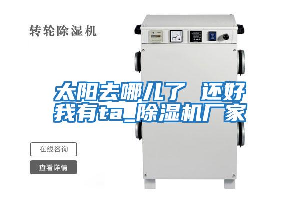 太陽(yáng)去哪兒了 還好我有ta_除濕機(jī)廠家