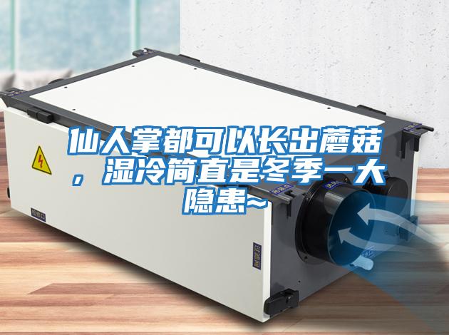 仙人掌都可以長出蘑菇，濕冷簡直是冬季一大隱患~