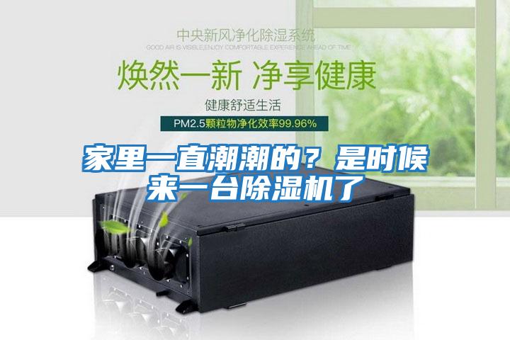 家里一直潮潮的？是時候來一臺除濕機了