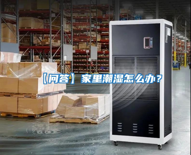 【問(wèn)答】家里潮濕怎么辦？