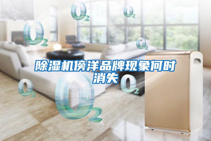 除濕機傍洋品牌現象何時消失