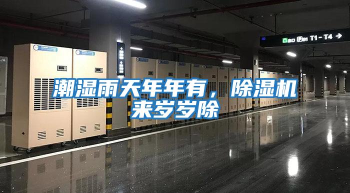 潮濕雨天年年有，除濕機來歲歲除