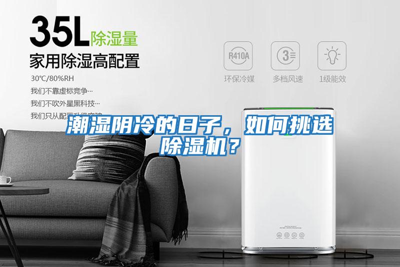 潮濕陰冷的日子，如何挑選除濕機？
