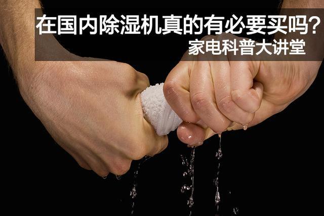 紅遍全網(wǎng)的柞水木耳，烘干技術(shù)很重要！！
