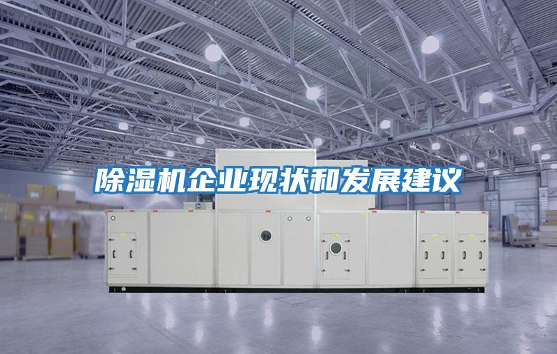除濕機企業(yè)現(xiàn)狀和發(fā)展建議