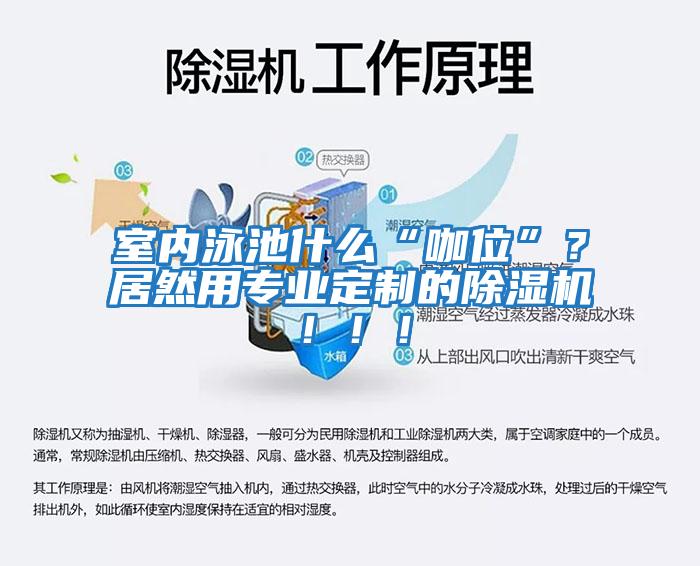 室內泳池什么“咖位”？居然用專業定制的除濕機！?。?/></p>
						    <p style=