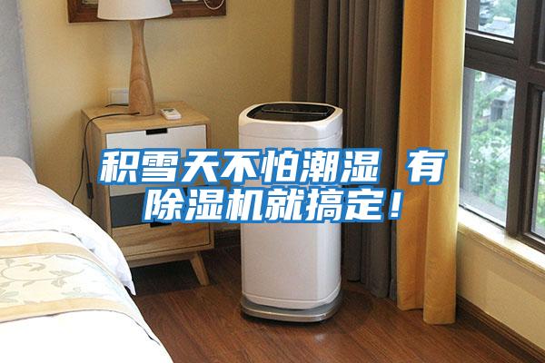 積雪天不怕潮濕 有除濕機(jī)就搞定！