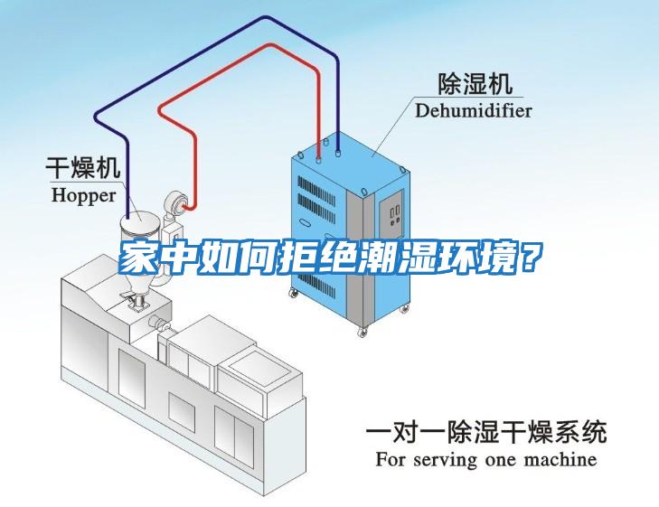 家中如何拒絕潮濕環境？