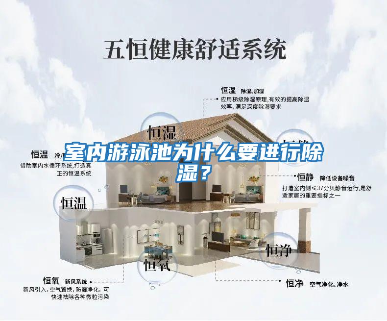 室內(nèi)游泳池為什么要進行除濕？