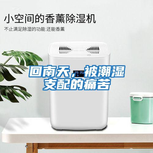 回南天，被潮濕支配的痛苦