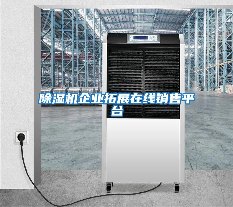 除濕機(jī)企業(yè)拓展在線銷售平臺