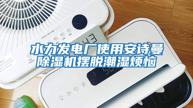 水力發(fā)電廠(chǎng)使用安詩(shī)曼除濕機(jī)擺脫潮濕煩惱